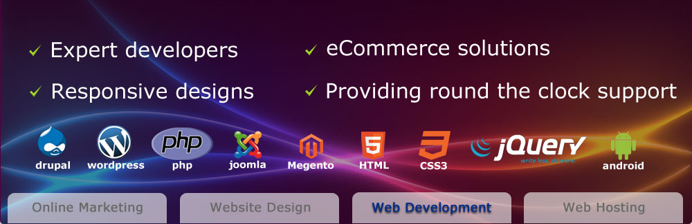 Web Development