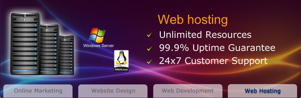 Web hosting India